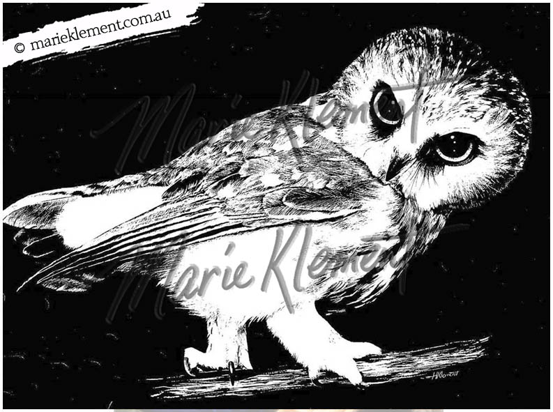 Marie Klement Owl Artist