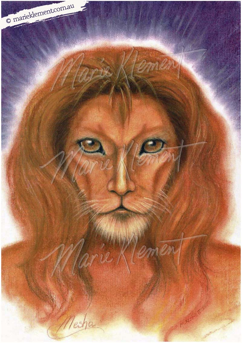 Marie Klement Artist Guide Lion